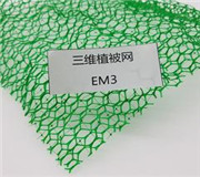 三维土工网垫_EM5三维植被网——价格当地制造商